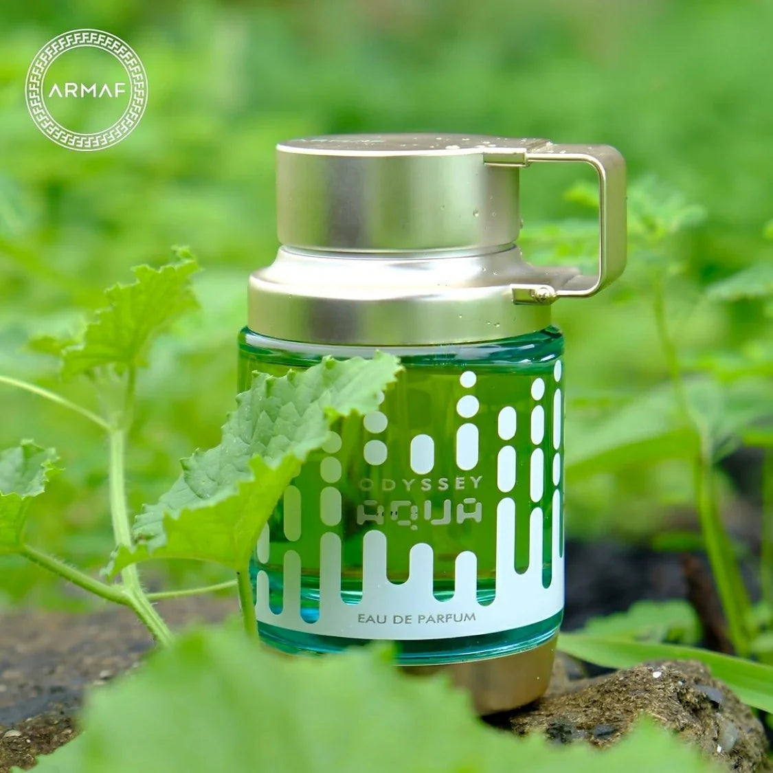 Odyssey Aqua Eau de Parfum Armaf | Fresco, Aromático y Moderno